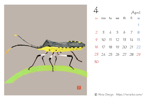 虫　イラストカレンダー