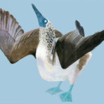 2026カレンダー制作中