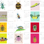 2023虫のイラストカレンダー。