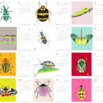 カラフルな虫のイラスト。卓上カレンダー